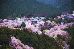 春冰冰采集到邻国