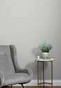 Clare | Interior Paint | Seize The Gray