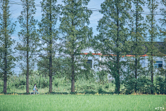 一夏夏待采集到角度