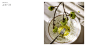 bottle brand identity Label label design Logo Design Olive Oil package (3)