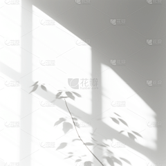 浓情双眼皮儿采集到光影