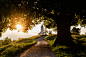 古老的,太阳,地形,建筑结构,建筑_554200107_Dirt road leading to remote hilltop church_创意图片_Getty Images China