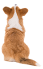 Pasted-20240106-110901_pixian_ai