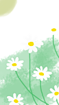 绿色夏天小雏菊花朵植物手绘素材