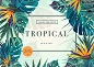 夏季时尚潮流热带植物棕榈叶子电商促销海报背景图片AI矢量素材