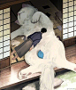 Photoshop大师的微博_微博