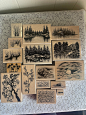 Stampscapes Wood Mount Stamps Destash-16 Beautiful Stamps image 1
