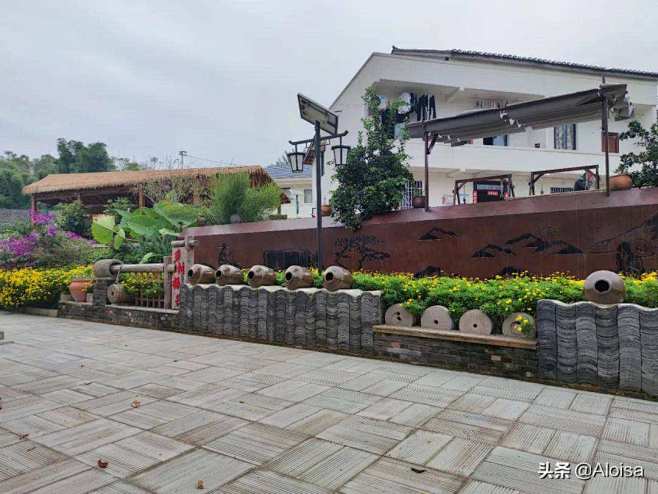点击查看图片来源