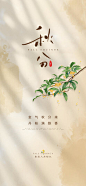 秋分节气海报