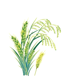 ccb60d3d1c7046218d9681fa6544a1a6