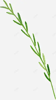 绿色清新植物手绘花边高清素材 植物 清新 绿色 花边 免抠png 设计图片 免费下载