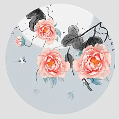 牡丹花插画
