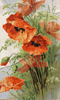 Poppies - Cross stitch pattern pdf format : Pdf cross stitch pattern - Poppies (by Catherine Klein)  Last photo shows how it looks like the finished piece  With your purchase you will receive:  A Pdf pattern with black and white symbols A Pdf pattern with