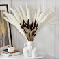 Dried Pampas Mixed Centerpiece