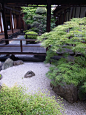 Japanese garden: 