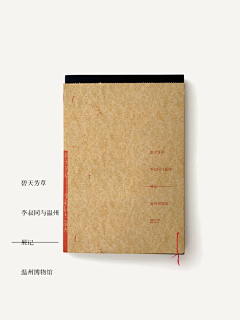 没有纯正的艺术血统采集到书籍设计