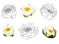 【资源】花花草草啥的……可能还有点别的？P站资源甚多_看图_线稿吧_百度贴吧