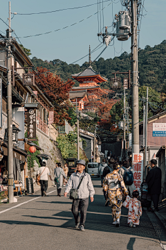 花開有時采集到世✂窗