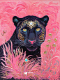 大黑猫 | 周一……豹姐为你蓄力～ - 小红书