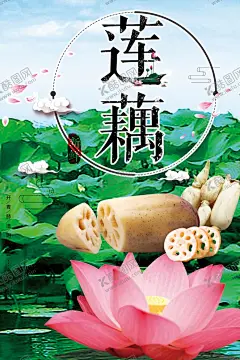 洪湖莲藕海报 【酷图网】洪湖莲藕,莲藕海报,莲藕广告,莲藕种植,莲藕种植基地,卖莲藕,国画,中国风,餐饮,美味,菜系,菜,厨房,种莲藕,绿色食品,蔬菜厂,蔬菜采购,农场,蔬菜农场,健康,无公害,有机蔬菜,优质蔬菜,新鲜蔬菜,蔬菜零售,绿色产品,蔬菜店海报,果蔬系列