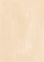 波西米亚春夏秋冬人物水果植物花卉叶子插画装饰免抠PNG图案素材 (8)