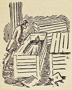 1900年，瑞典版 #德古拉# 小说插画 ​​​​