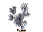 【新提醒】【植物3D模型】下载，植物CG模型下载植物食物CG模型CG帮美术资源网 -www.cgboo.com