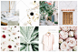 欧美INS文艺静物人物花卉植物摄影高清图片网站微博配图设计素材-淘宝网