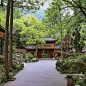 A land of Zen, without tourist crowds, without the hustle and bustle, you can slow your pace down and sit back for some self-grown Longjing tea. 