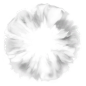 Ring_02