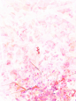 桃乱系列Ⅰ纯排底图
“况是青春日将暮，桃花乱落如红雨”
@颜钦羽  久久出一次的福利
自绘自处理，关注可商Ⅰ禁改描述