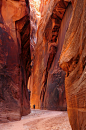 每日素材
众多国外CG绘画艺术家都画过场景——鹿皮谷，buckskin gulch
美国犹他州有无数的狭缝型峡谷（slot canyon），鹿皮谷是已知最长的一条，长十六英里，深达三十多米。
#素材##素材资源##绘画素材##绘画参考##cg素材##Cg绘画##绘画学习#