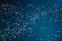 精子接近卵细胞，卵细胞。自然受精-近景。孕育，是新生命的开始。三维演示