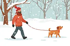 图源免费EPS文件 |一个男人和他的狗在冬日公园里散步。主人和他的狗在冬日公园里散步。狗是人类最好的朋友。美丽的冬日雪公园。圣诞氛围。