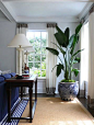 Large plant in patterned planter for corner of family room {Designer David Lawrence's home via Habitually Chic}: 