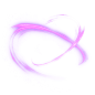 webp