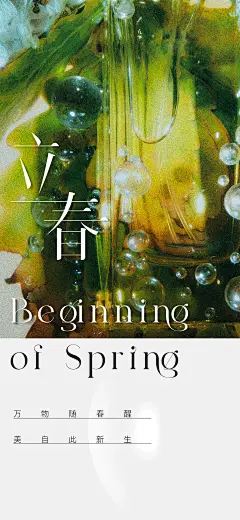 立春高级简约节气海报