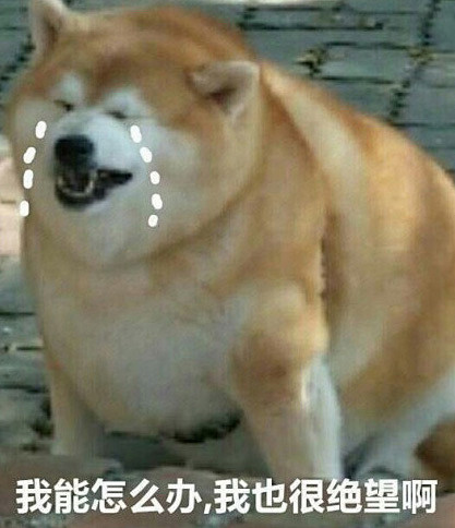 淘宝卖家脑洞清奇 卖挂钩将小朋友挂墙上