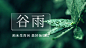 谷雨节气祝福春天实景横版海报