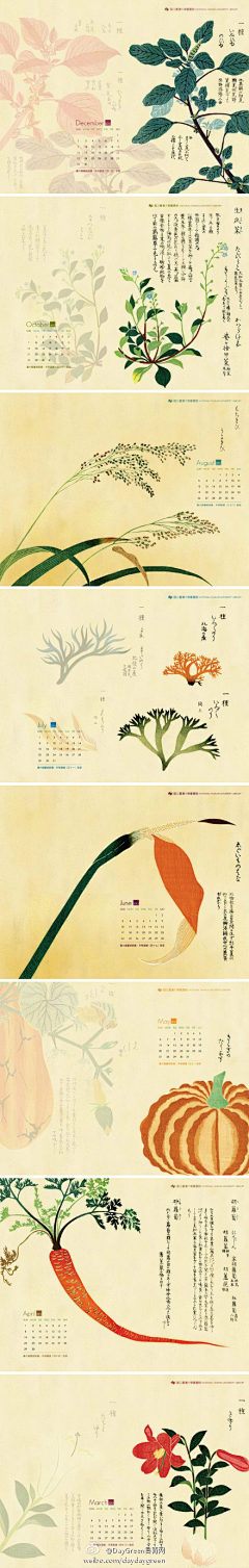 freefly采集到插画