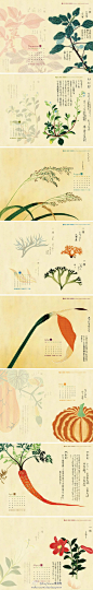 【图谱】推荐给大家台湾大学图书馆提供的墙纸下载，从2006年至2012年，多是以植物图谱和书有关的桌面图！2012年选取的是日本画家岩崎常正画的《本草图谱》，包括有日期和无日期版。每月使用这样清新自然的桌面，心情也沉静许多。http://t.cn/zOPmWsW 