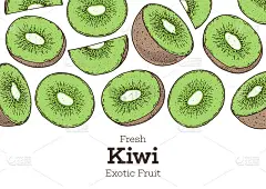猕猴桃手绘画框。丰富多彩。矢量插图。设计，包装，宣传册插图。手绘猕猴桃设计模板。有机新鲜食物矢量插图