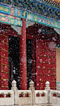 紫禁城的初雪，碎碎坠琼芳，美的一塌糊涂，真心美醉了！ #√#看更多 陆续更新 可以关.注.@大家园古典红木