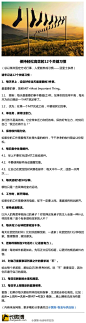 【保持轻松高效的12个关键习惯】1.每天早上设定当天最重要三件事;2.单任务,保持注意力;3.保持收件箱为空;4.集中处理邮件;5.每天运动5-10分钟;6.工作时断开网络;7.保持桌面整洁;8.每天花15分钟收拾家;9.把邮件限制在5句话内(当微博写);10.对不重要事情说不;11.每日吃新鲜果蔬;12.按固定的套路做事(共勉)