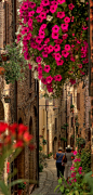 Strolling on the beautiful streets of Spello in Umbria, Italy •  photo: Luca Ternelli on Flickr