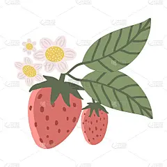 可爱的草莓，绿色的叶子和白色的花朵在白色的背景上