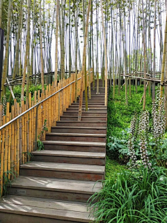 黄玮宁采集到乡村
