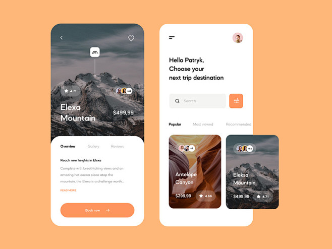 Travel App interface...
