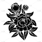 枝,玫瑰,华丽的,植物,夏天,剪贴画,草图,复古,花,剪影