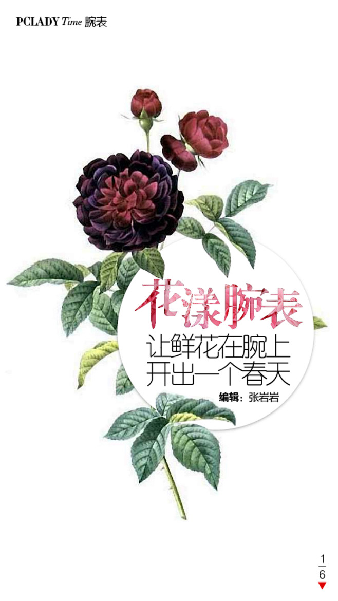 花漾手表 杂志文字排版 